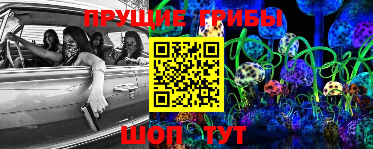 Галлюциногенные грибы GOLDEN TEACHER Братск
